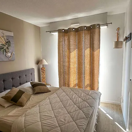 Apartment Antares - - T2 A Deux Pas Du Centre-ville Et De La Mae-9284